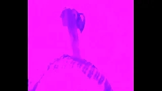 Sweet unspecified wants cock